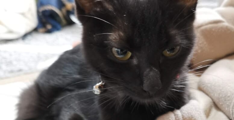 IMG_20201205_140039-0442e2cf