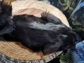 IMG_20201209_122925-551cb42f