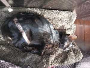 IMG_20201210_103436-cddc8f14