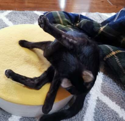 IMG_20201211_092523 (1)-a459c0ba