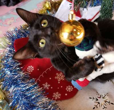 IMG_20201213_102352-133b0ca8