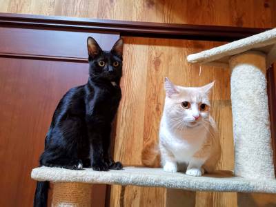 IMG_20201215_175552-d1950f6a