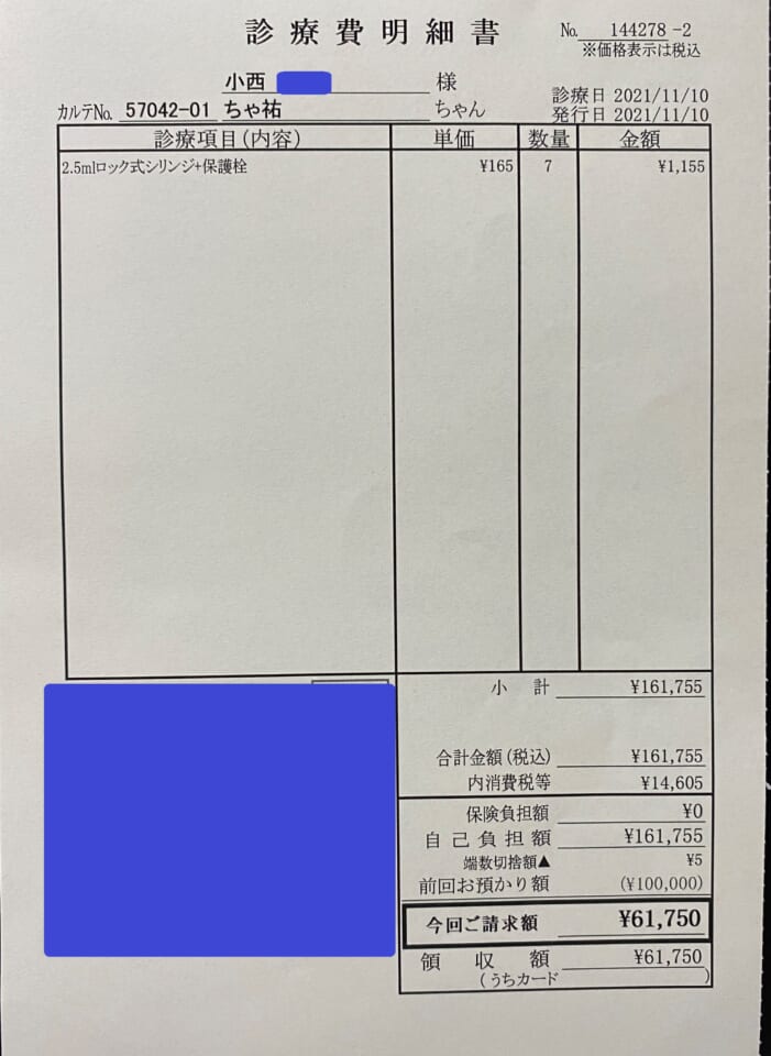 D-2021.11.10診療明細-2-6f7fbb1d