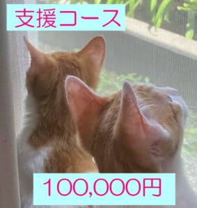 ・支援100000円
