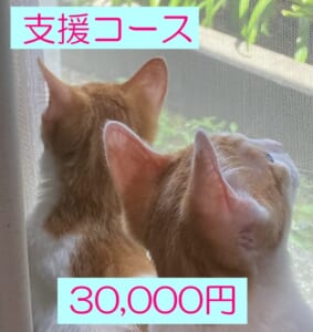 ・支援30000円