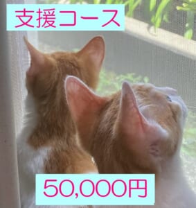 ・支援50000円