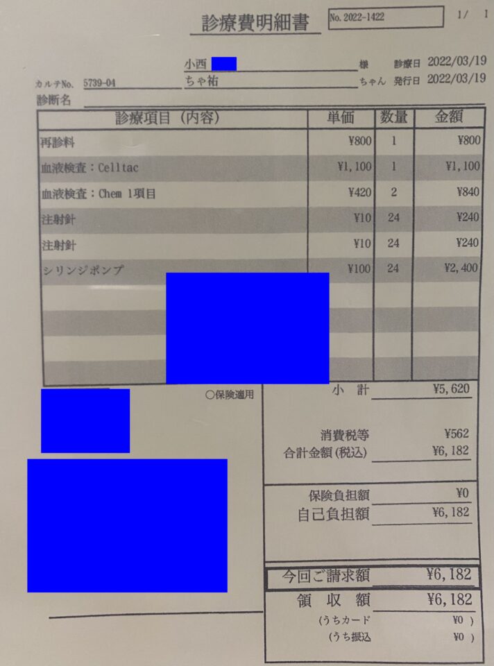 K-2022.3.19診療明細-f9ba5264