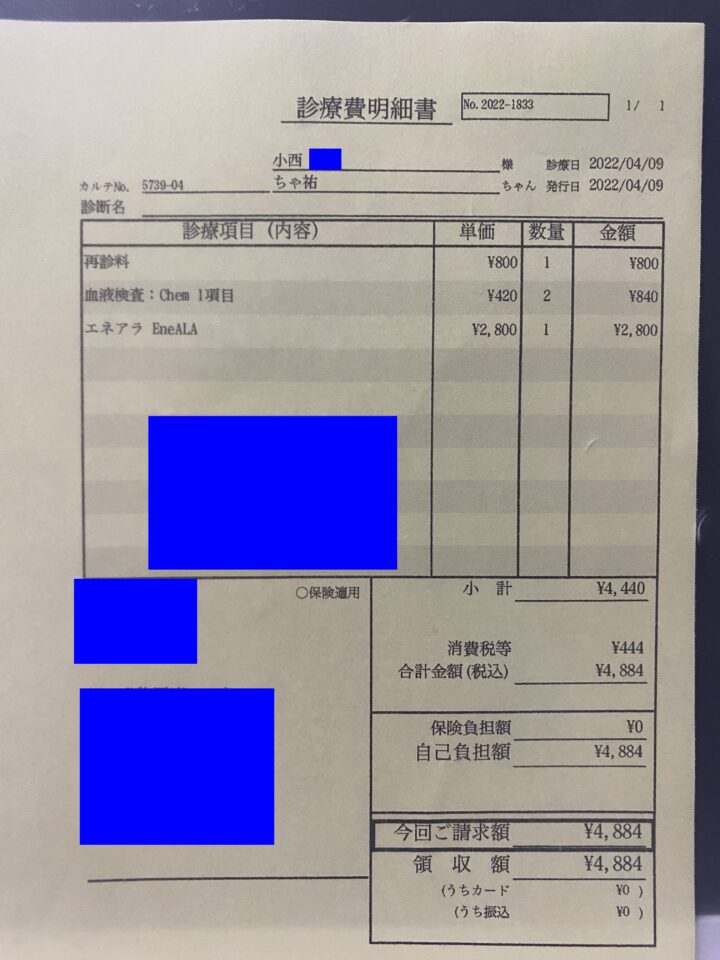 K-2022.4.9診療明細-8b59c2be